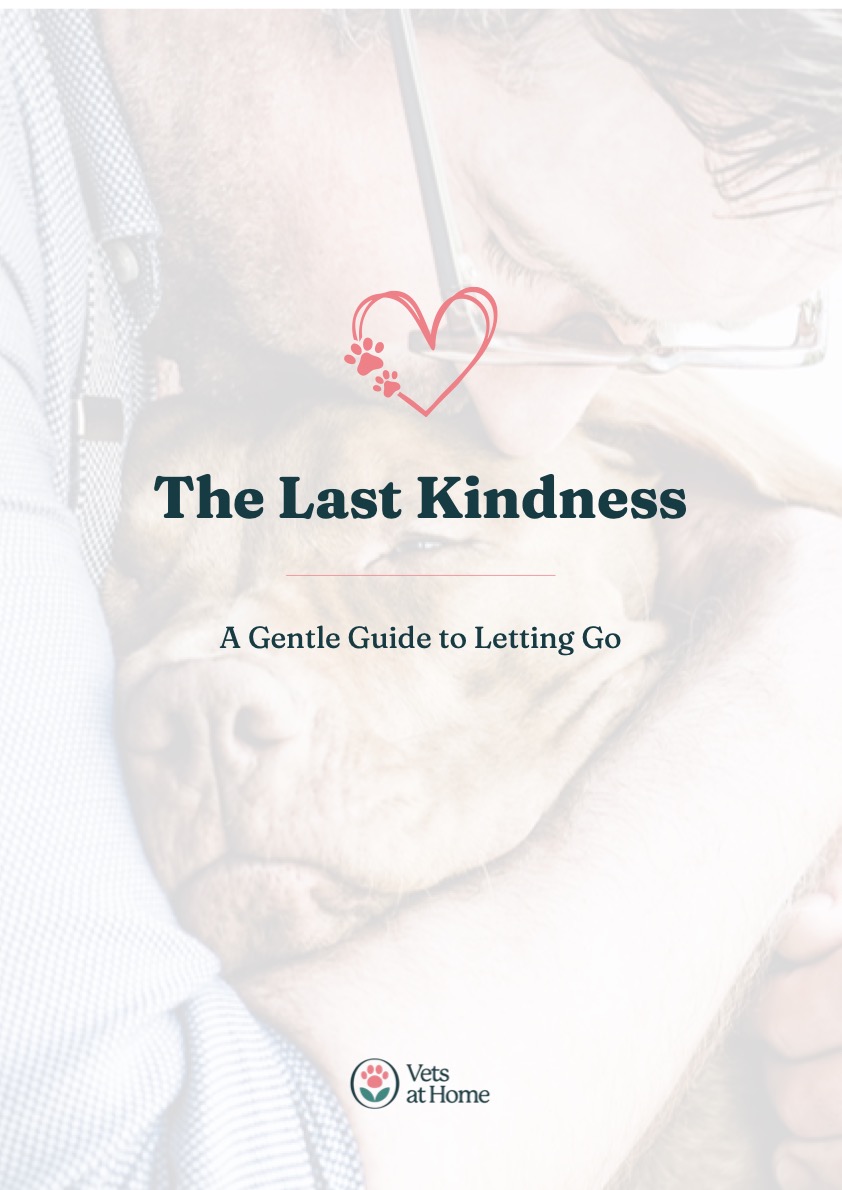 The Last Kindness, a gentle guide to letting go